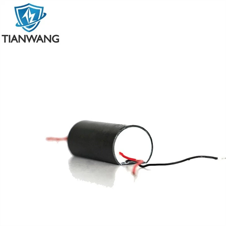 Boost Inverter Module